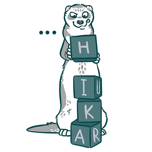 divertissement du furet