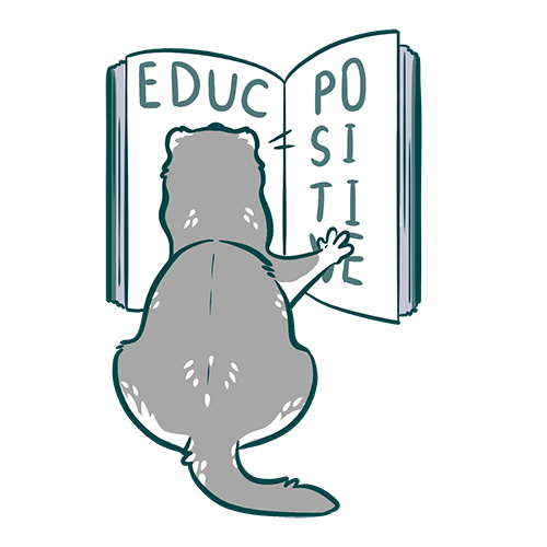 éducation du furet
