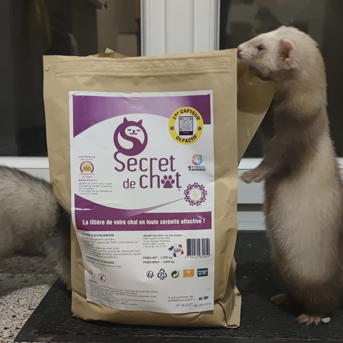 secret de chat furet