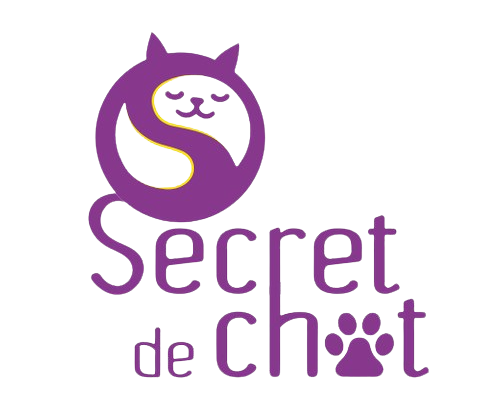secret de chat