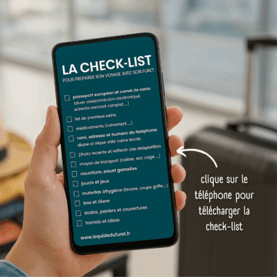 Check-list gratuite pour partir en voyage avec son furet